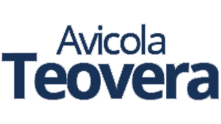 Client Megawatt - Avicola-Teovera