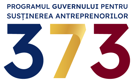 Programul guvernamental 373